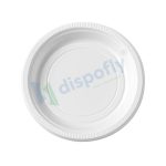 plastic plate manufacturer